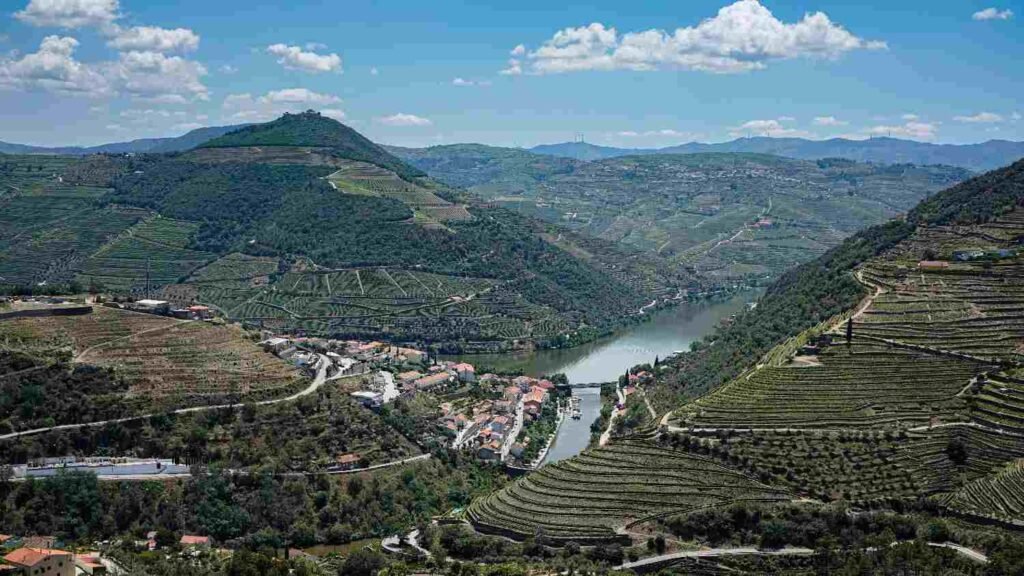 Terraced vineyards cover the hillsides above the winding Douro River in Portugal.