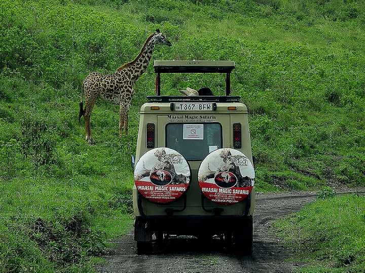 Travel Bucket List
