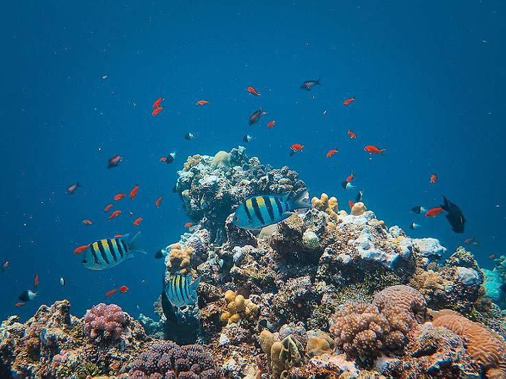 Travel Bucket List